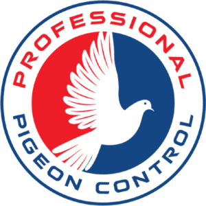 Professional Pigeon Control Company Phoenix Arizona